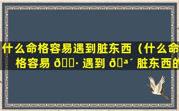 什么命格容易遇到脏东西（什么命格容易 🕷 遇到 🪴 脏东西的人）